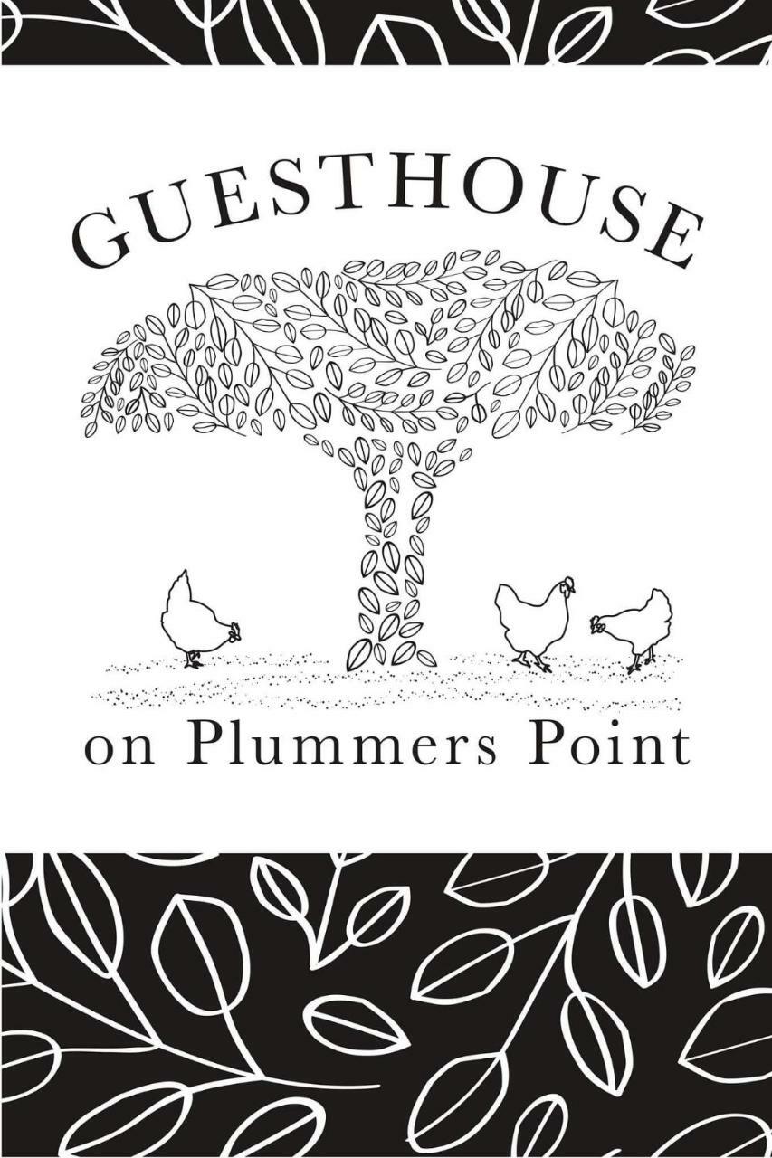 Guest House On Plummers Point 陶朗加 外观 照片